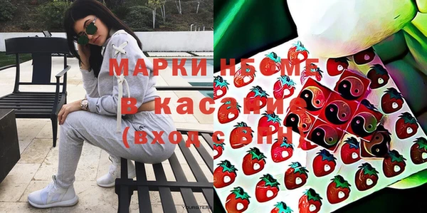 шишки Инта