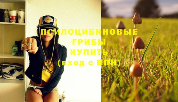 эйфоретик Баксан