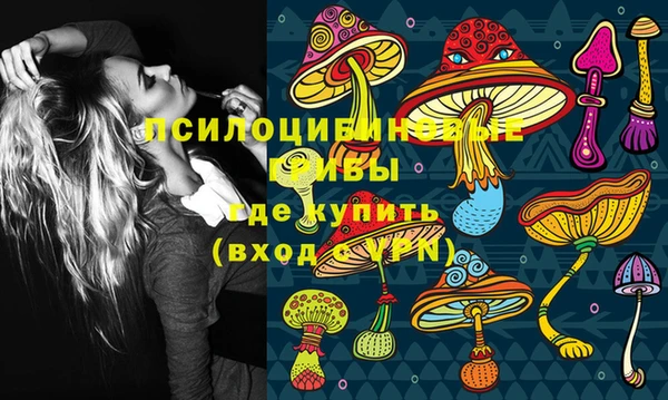 эйфоретик Баксан