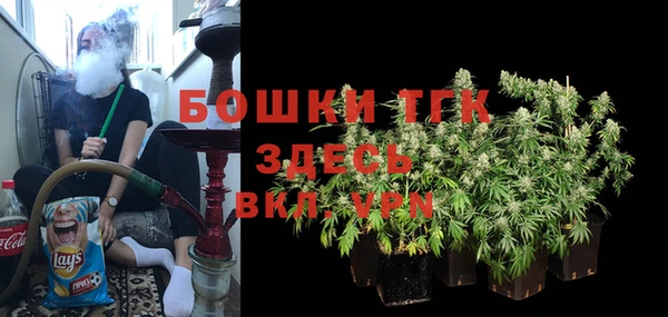 эйфоретик Баксан